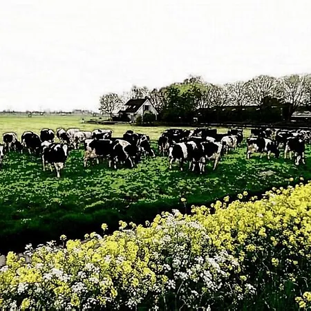 City Farmer Farmyard Stays, Sleep Easy, Stay Rural, Explore Amsterdam Exterior photo